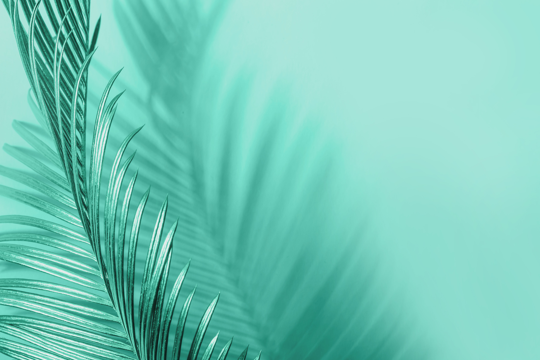 Metallic Teal Leaf on Teal Background